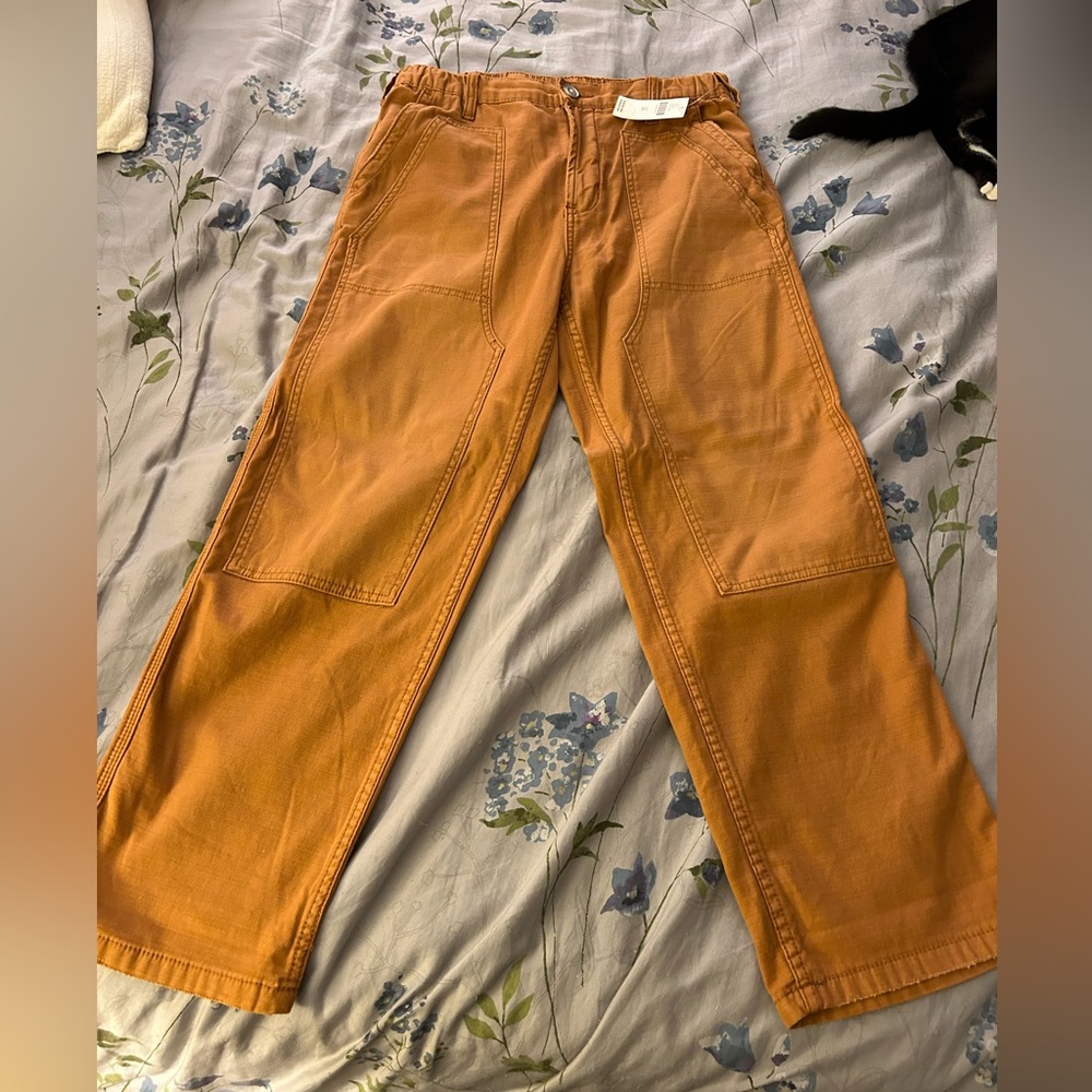 Pilcro for Anthropologie NWT Roamer Cargo Pants, size 28 *flaw